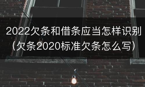 2022欠条和借条应当怎样识别（欠条2020标准欠条怎么写）