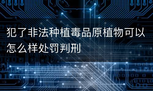 犯了非法种植毒品原植物可以怎么样处罚判刑