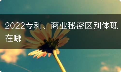2022专利、商业秘密区别体现在哪