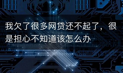 我欠了很多网贷还不起了，很是担心不知道该怎么办