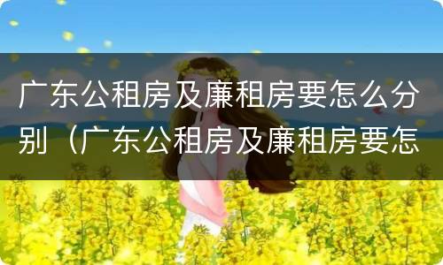 广东公租房及廉租房要怎么分别（广东公租房及廉租房要怎么分别摇号）
