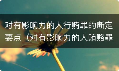 对有影响力的人行贿罪的断定要点（对有影响力的人贿赂罪）