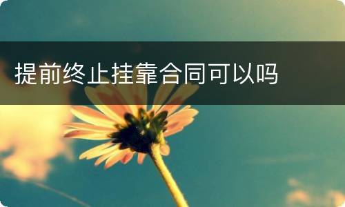 提前终止挂靠合同可以吗