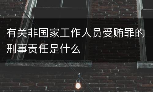 有关非国家工作人员受贿罪的刑事责任是什么