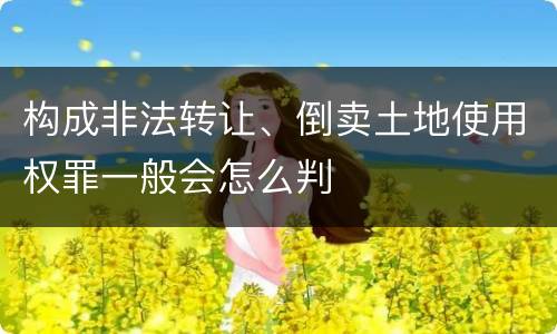 构成非法转让、倒卖土地使用权罪一般会怎么判