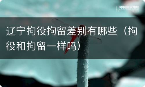 辽宁拘役拘留差别有哪些（拘役和拘留一样吗）
