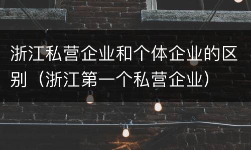 浙江私营企业和个体企业的区别（浙江第一个私营企业）