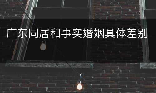 广东同居和事实婚姻具体差别