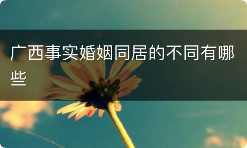 广西事实婚姻同居的不同有哪些