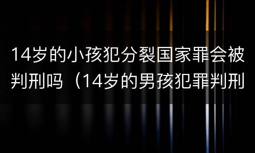 14岁的小孩犯分裂国家罪会被判刑吗（14岁的男孩犯罪判刑吗）