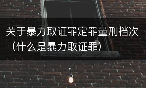 关于暴力取证罪定罪量刑档次（什么是暴力取证罪）