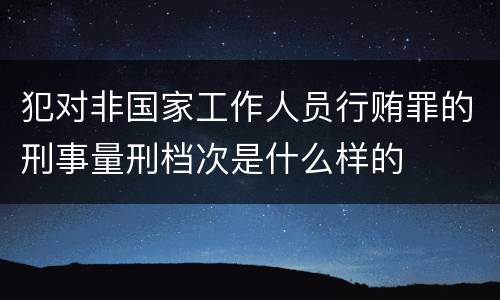 犯对非国家工作人员行贿罪的刑事量刑档次是什么样的