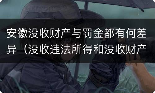 安徽没收财产与罚金都有何差异（没收违法所得和没收财产有什么区别）