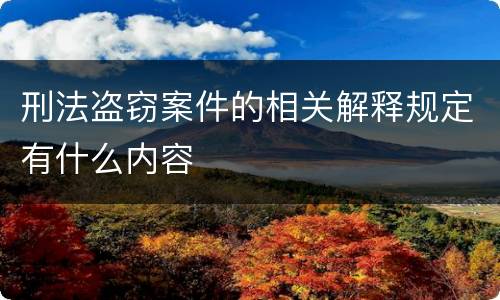 刑法盗窃案件的相关解释规定有什么内容