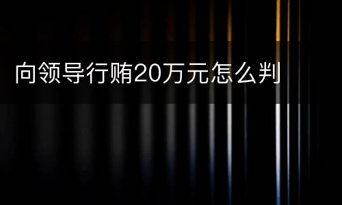 向领导行贿20万元怎么判