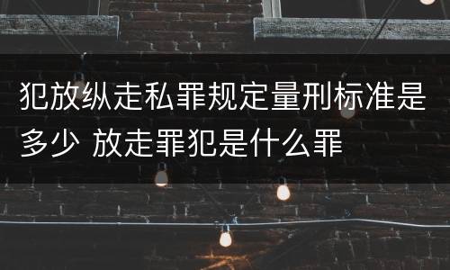 犯放纵走私罪规定量刑标准是多少 放走罪犯是什么罪