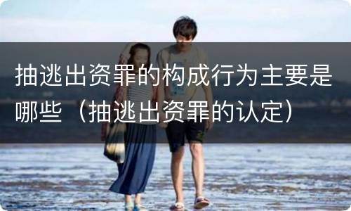 抽逃出资罪的构成行为主要是哪些（抽逃出资罪的认定）