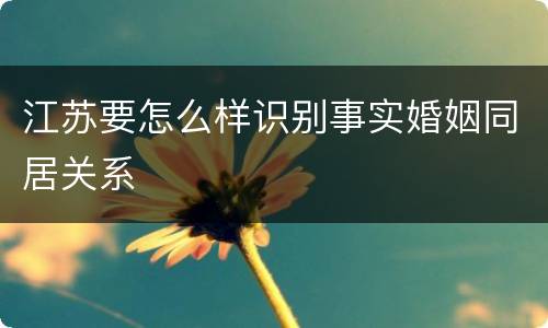 江苏要怎么样识别事实婚姻同居关系