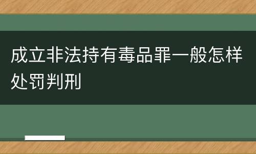 成立非法持有毒品罪一般怎样处罚判刑