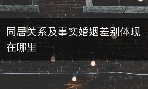 同居关系及事实婚姻差别体现在哪里