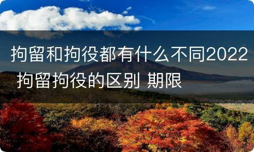 拘留和拘役都有什么不同2022 拘留拘役的区别 期限