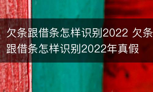 欠条跟借条怎样识别2022 欠条跟借条怎样识别2022年真假