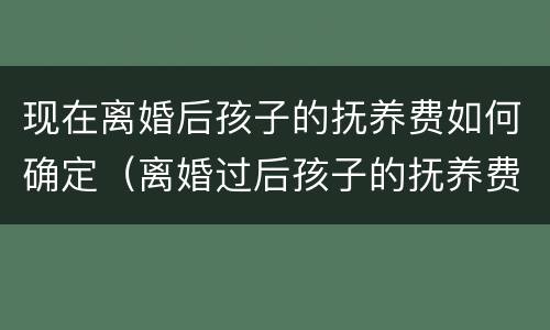 现在离婚后孩子的抚养费如何确定（离婚过后孩子的抚养费怎么算）