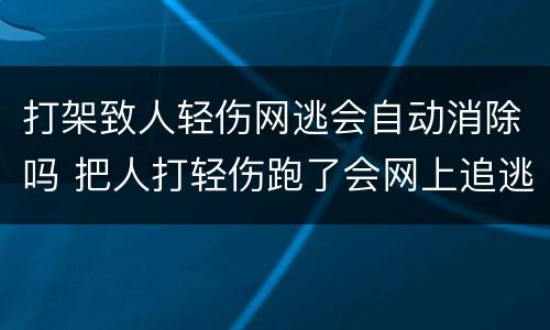 打架致人轻伤网逃会自动消除吗 把人打轻伤跑了会网上追逃吗