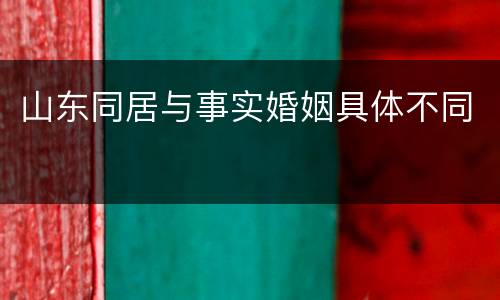 山东同居与事实婚姻具体不同