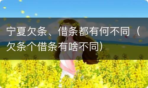 宁夏欠条、借条都有何不同（欠条个借条有啥不同）
