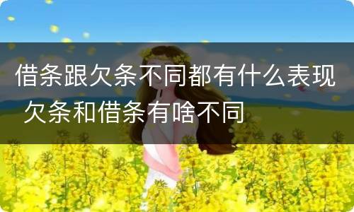 借条跟欠条不同都有什么表现 欠条和借条有啥不同