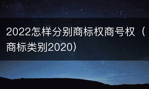 2022怎样分别商标权商号权（商标类别2020）