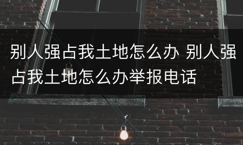 别人强占我土地怎么办 别人强占我土地怎么办举报电话