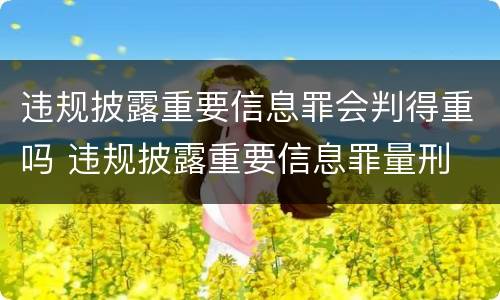 违规披露重要信息罪会判得重吗 违规披露重要信息罪量刑