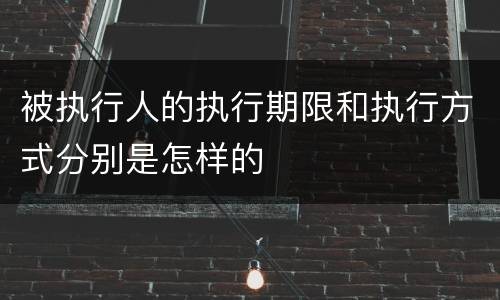 被执行人的执行期限和执行方式分别是怎样的