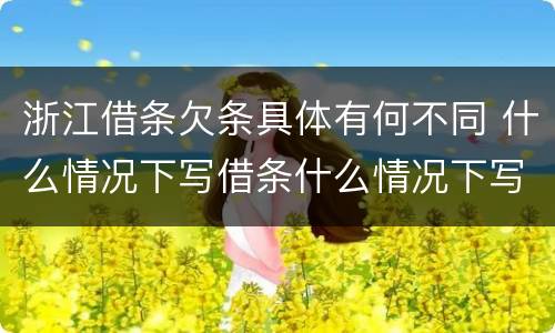 浙江借条欠条具体有何不同 什么情况下写借条什么情况下写欠条
