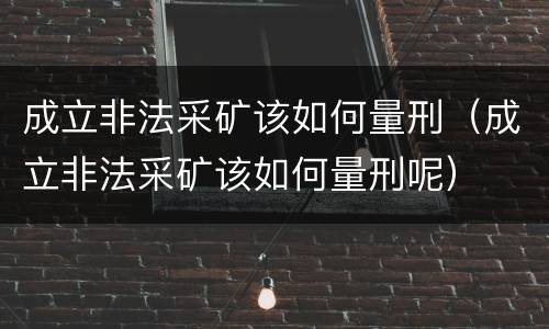 成立非法采矿该如何量刑（成立非法采矿该如何量刑呢）
