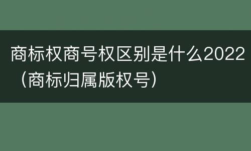 商标权商号权区别是什么2022（商标归属版权号）