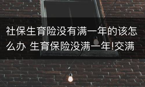 社保生育险没有满一年的该怎么办 生育保险没满一年!交满后可以领取吗
