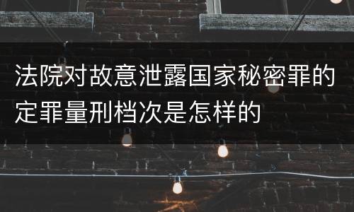 法院对故意泄露国家秘密罪的定罪量刑档次是怎样的