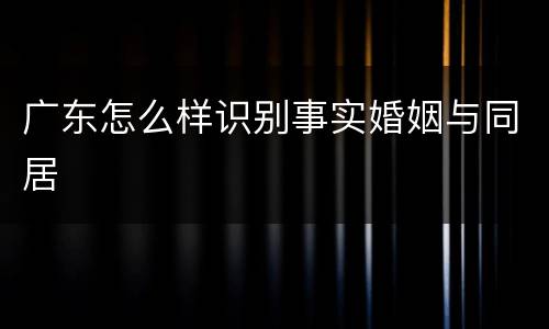 广东怎么样识别事实婚姻与同居