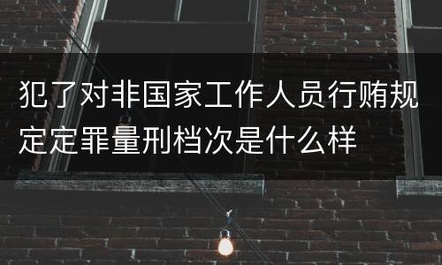 犯了对非国家工作人员行贿规定定罪量刑档次是什么样
