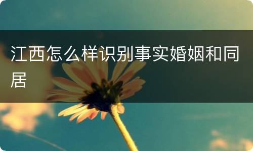 江西怎么样识别事实婚姻和同居