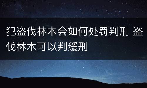 犯盗伐林木会如何处罚判刑 盗伐林木可以判缓刑