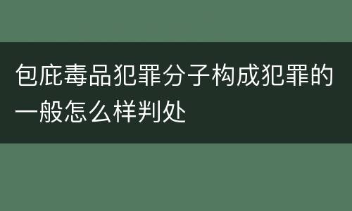 包庇毒品犯罪分子构成犯罪的一般怎么样判处