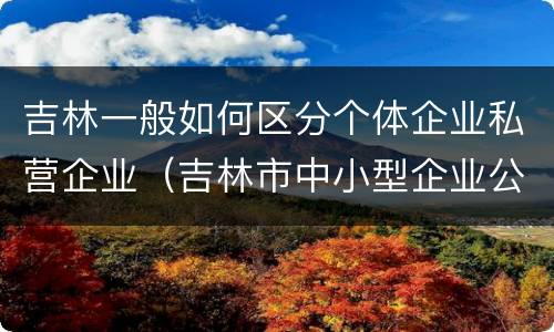 吉林一般如何区分个体企业私营企业（吉林市中小型企业公司有哪些）
