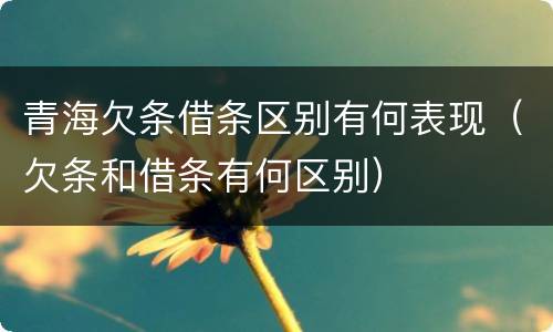 青海欠条借条区别有何表现（欠条和借条有何区别）