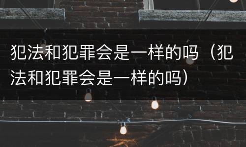 犯法和犯罪会是一样的吗（犯法和犯罪会是一样的吗）