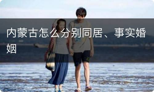 内蒙古怎么分别同居、事实婚姻