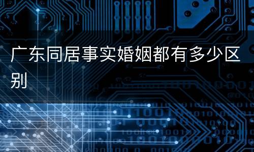 广东同居事实婚姻都有多少区别